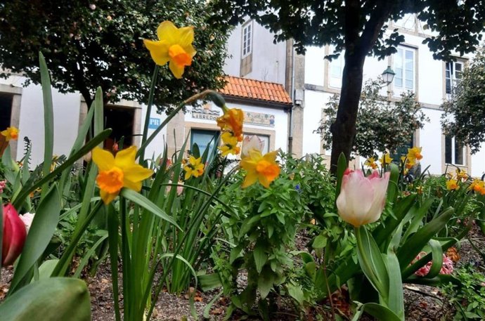 Jardines en el ayuntamiento de Santiago