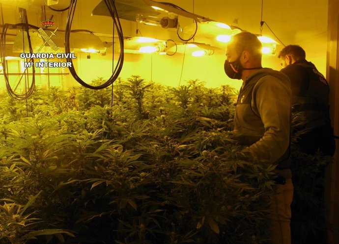 Dos agentes durante los registros en el marco de la operación 'Rosilia'