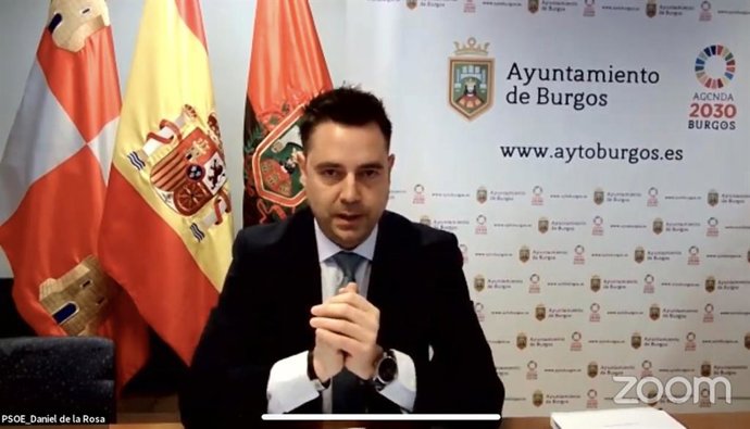 Daniel de la Rosa, en una foto captura de la reunión telemática del Pleno.