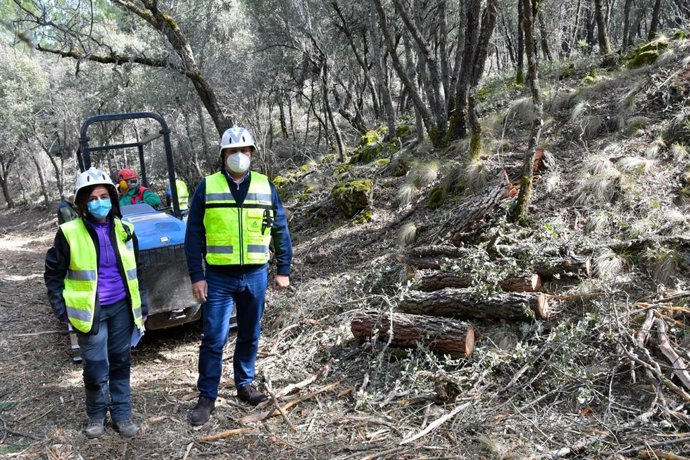 Visita a los trabajos en el Parque Natural Sierra de Huétor (Granada)