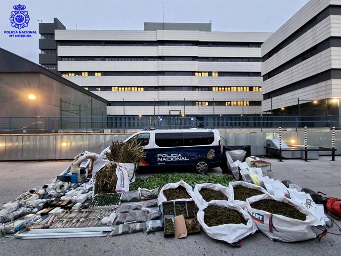 La marihuana y otros efectos intervenidos en la operación 'Geranio'