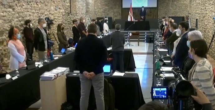 Pleno del Ayuntamiento de Vitoria