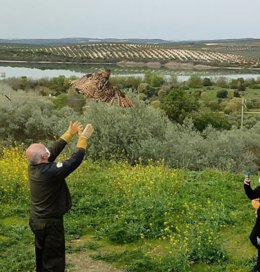 Suelta de una de las aves recuperdas en el CREA de Los Villares