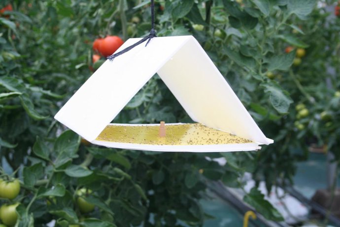 Producción integrada