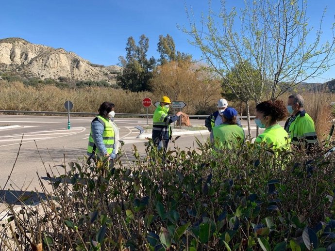 Trabajos del PFEA
