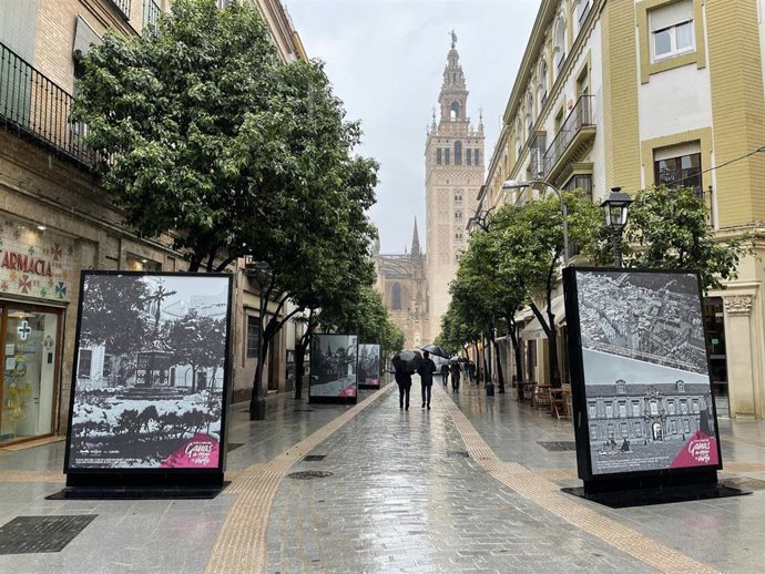 Imagen de la calle Mateos Gago de Sevilla
