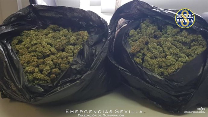 Marihuana  intervenida
