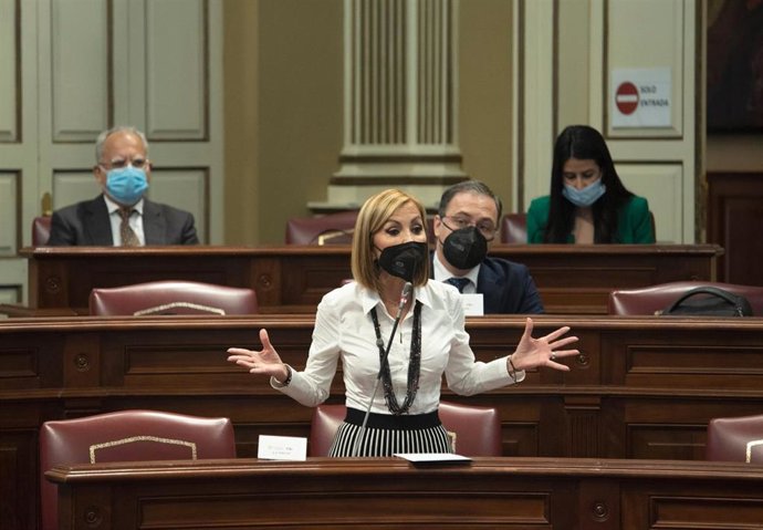 La presidenta del PP en Canarias, María Australia Navarro