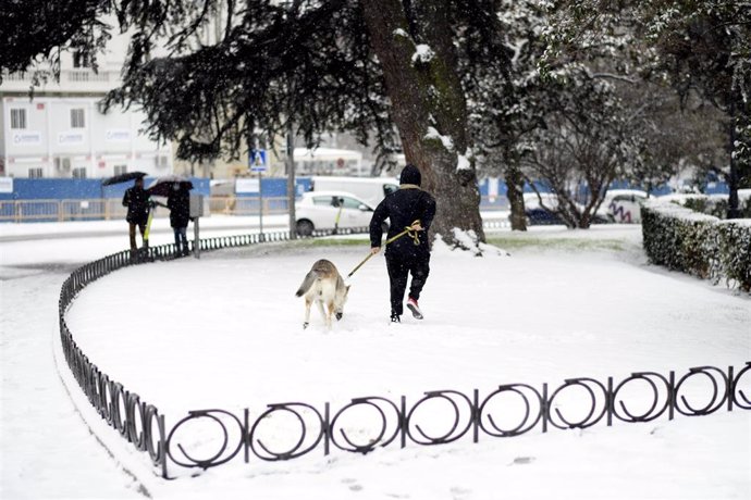 Archivo - Un hombre pasea a su perro en Madrid, durante la nevada.