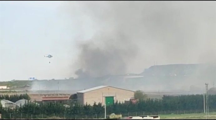 Incendio en el barrio de Varea que ha afectado a matorral principalmente
