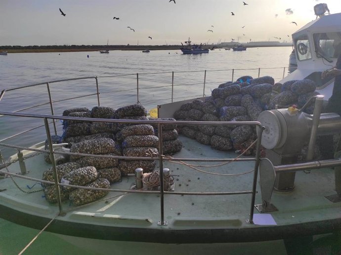 Productos decomisados por Inspección Pesquera en Huelva.