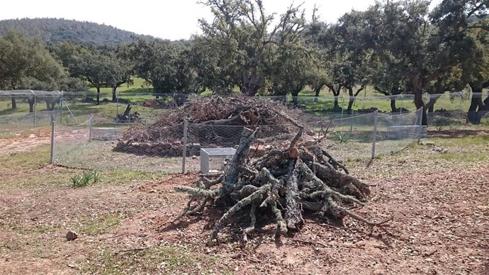 Proyecto de protecciónd ela avifauna