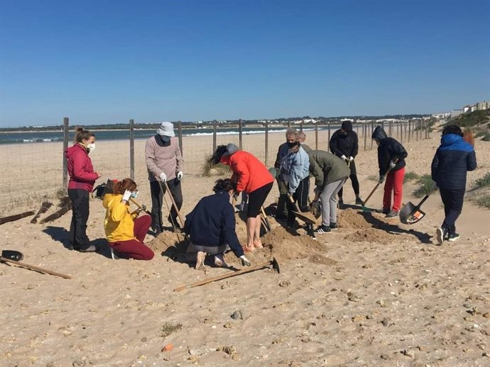 Voluntarios limpian una playa virgen en El Puerto