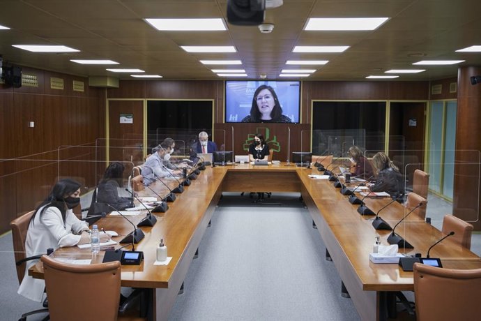 La directora de Emakunde, Izaskun Landaida, ha comparecido ante la Comisión de Derechos Humanos, Igualdad y Justicia del Parlamento Vasco, en Vitoria