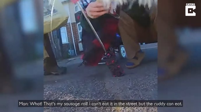 El hilarante momento en que un gato roba la dentadura postiza que se le cae a una anciana quedó registrado en vídeo