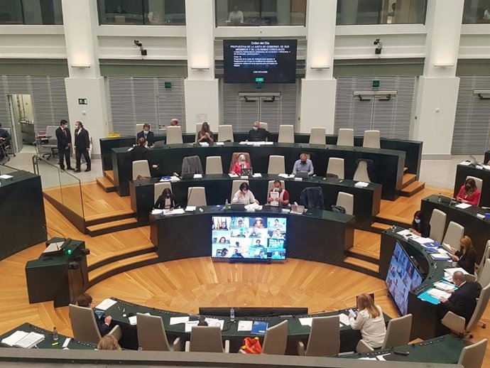 Cibeles saca adelante la modificada ordenanza de prestaciones económicas de Servicios Sociales con el 'no' de Más Madrid