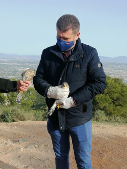 El director general del Medio Natural, Fulgencio Perona, posa con dos de los ejemplares