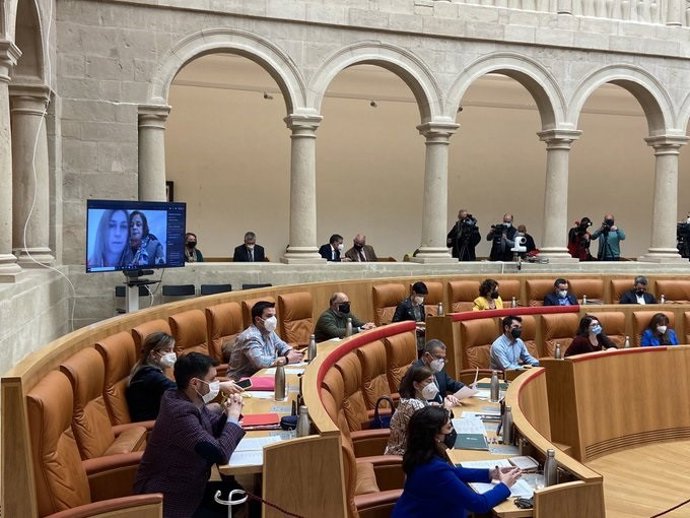 La diputada de IU, Henar Moreno, interviene por videoconferencia