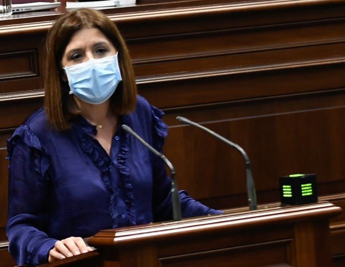 La presidenta del grupo parlamentario de Nueva Canarias (NC), Carmen Hernández