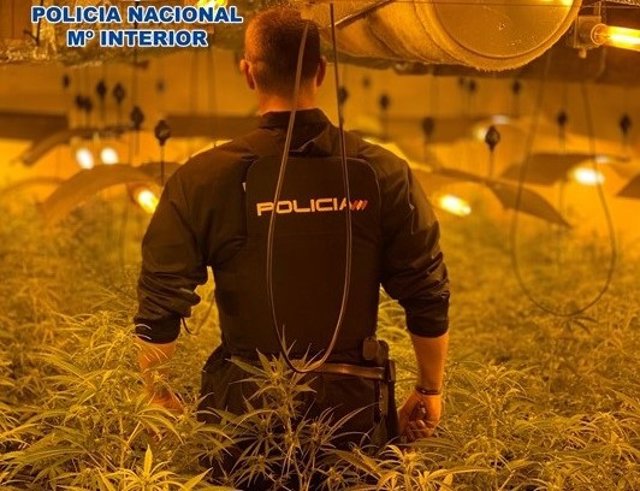 Operación antidroga de la Policía Nacional