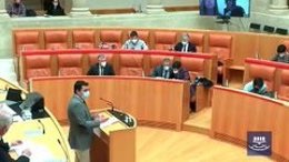 El diputado del PP, Alfonso Dominguez