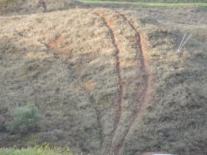 Sanciones tramitadas por el tránsito ilegal de vehículos motorizados en los montes riojanos durante 2020.