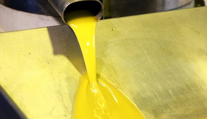 La campaña del olivar para aceite ecológico ha terminado con unos precios superiores a un 33% de los liquidados en las almazaras para el aceite convencional.