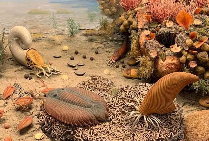 Los trilobites tenían órganos respiratorios en sus patas, en forma de bolsas colgando de sus muslos
