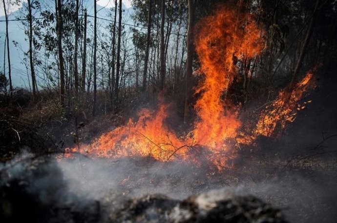 Archivo - Incendio forestal en Cantabria