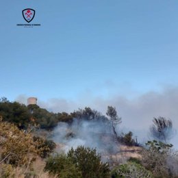 Imagen del fuego en el paraje Torre de Maro de Nerja