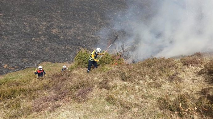 Bomberos intervienen para extinguir un incendio de vegetación
