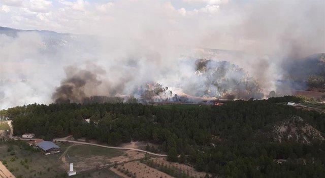 Imagen del incendio declarado en Requena (Valencia)
