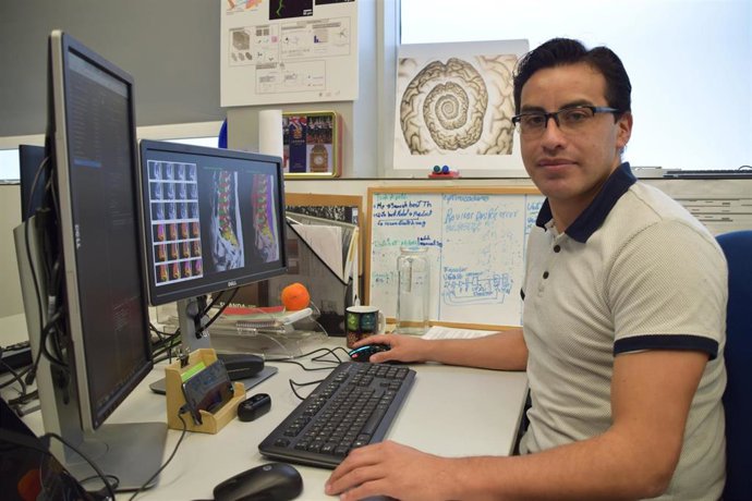 Personal investigador de Fisabio desarrolla una herramienta que mejora la interpretación de resonancias magnéticas de médula espinal