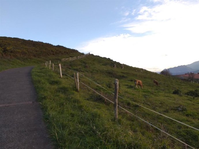 Archivo - Excursión. Ruta de turismo rural.