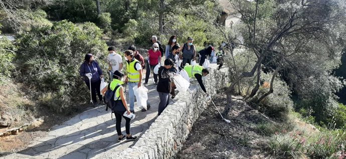 Unas 30 personas participan en la actividad 'Basuraleza' en el Bosque de Bellver.