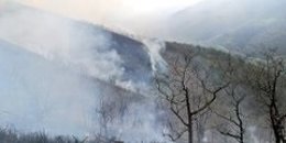 Incendio forestal en Cantabria