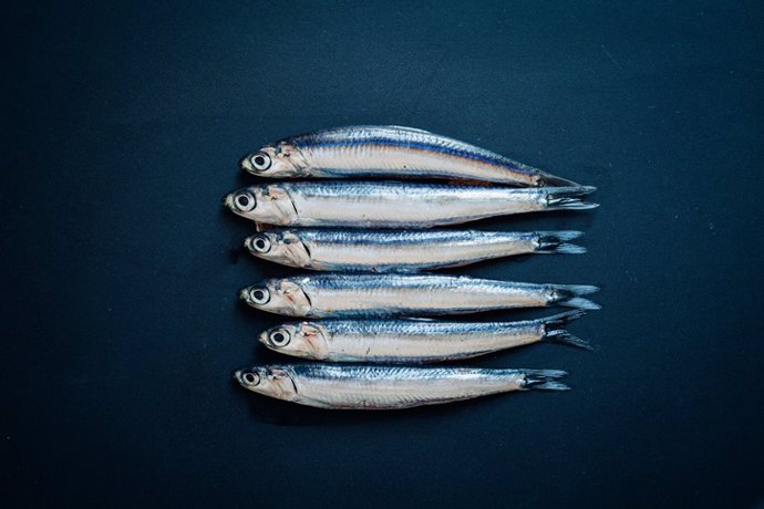 Archivo - Boquerones. Pescado azul.