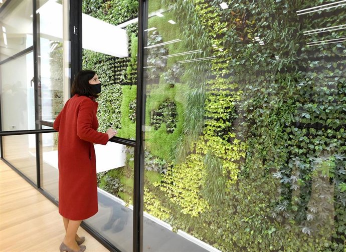 Jardín vertical en centro cívico Tabacalera de Santander