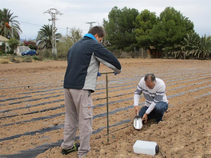 Toma de muestras del proyecto de investigación conjunto entre Esamur y el Centro Tecnológico Nacional de la Conserva y Alimentación