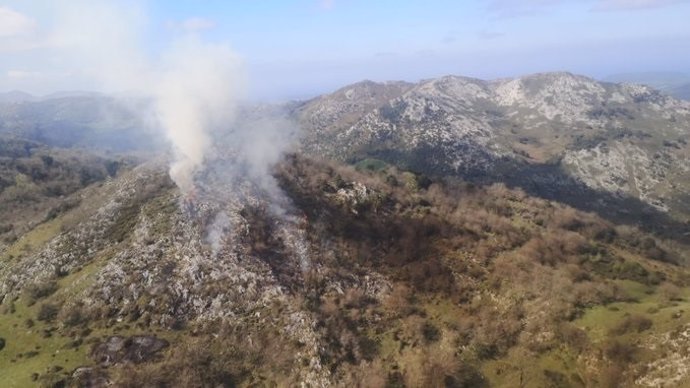 Incendio Forestal en Cantabria