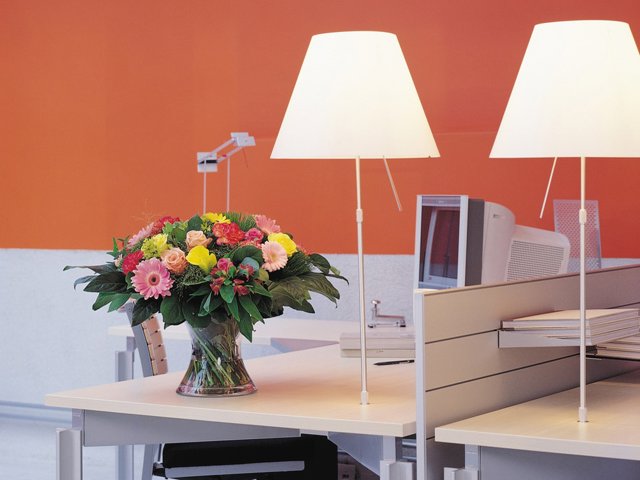 Las flores son grandes aliadas para la positividad en nuestro día a día