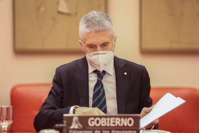 El ministro del Interior, Fernando Grande-Marlaska, en una comparecencia en el Congreso