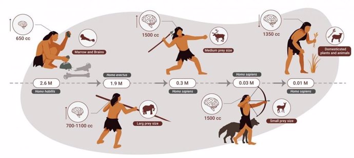 Evolución del rol de los humanos en la adquisición de alimentos