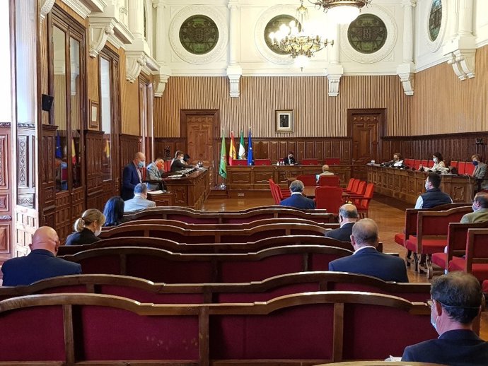 Pleno ordinario de la Diputación.