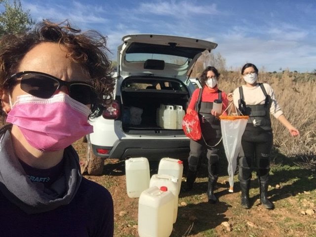 Investigadoras que han participado en el estudio.