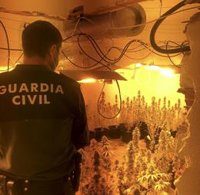 Desarticulados otros cuatro centros de producción de droga en la provincia de Granada