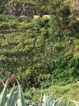 Vehículo precipitado en la zona de los Dragos, en Moya