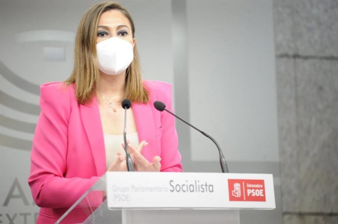La portavoz del Grupo Socialista, Lara Garlito, en rueda de prensa
