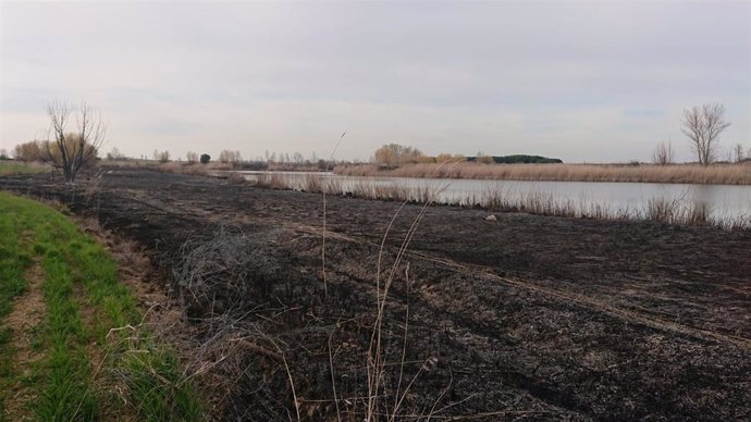 Imagen de las zonas quemadas en el Canal de Castilla a su paso por Palencia.