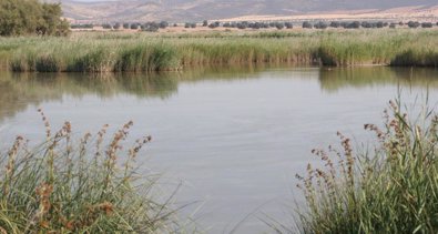 Castilla-La Mancha